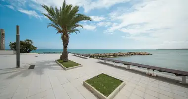 Penthouse  mit Terrasse, mit öffentliches Badöffentliches Bad, In der Nähe von Geschäften in Torrevieja, Spanien