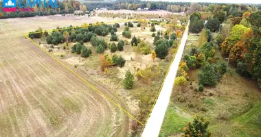 Plot of land in Braziukai, Lithuania