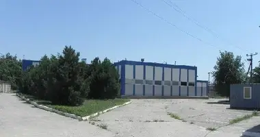 Gewerbefläche 4 272 m² in Molodischne, Ukraine