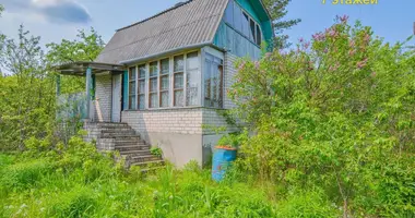 Haus in Lasanski sielski Saviet, Belarus