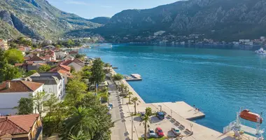 Nieruchomości komercyjne 1 029 m² w Kotor, Czarnogóra