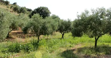 Plot of land in Achladias, Greece