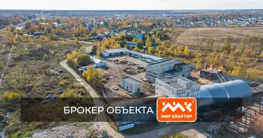 Производство 17 593 м² в Verevskoe selskoe poselenie, Россия