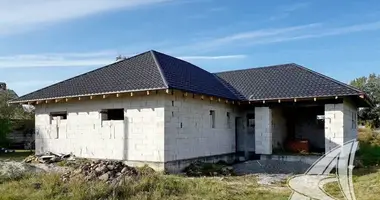 House in Rakitnicki sielski Saviet, Belarus