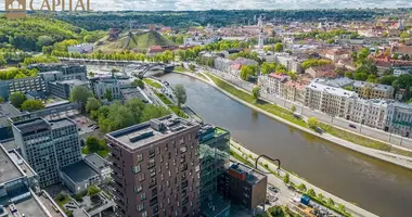Appartement 3 chambres dans Vilnius, Lituanie