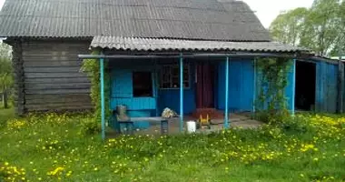 Dom w Dmitrovichskiy selskiy Sovet, Białoruś