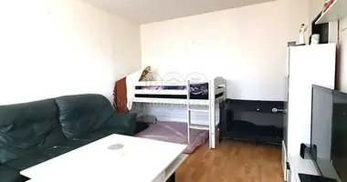 1 bedroom apartment in Most, Czech Republic