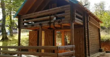 1 bedroom house in Zabljak, Montenegro