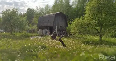 Дом в Жодинский сельский Совет, Беларусь