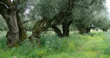 Grundstück in Agios Kirikos, Griechenland