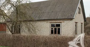 House in Kamyanyets, Belarus