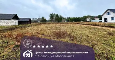 Участок земли в Швабский сельский Совет, Беларусь