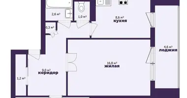 2 room apartment in Minsk, Belarus