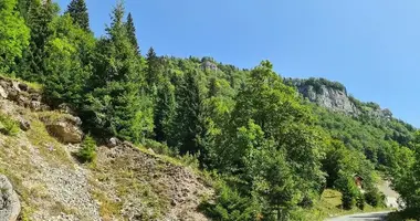 Plot of land in Kolasin, Montenegro