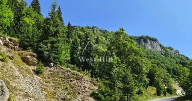 Plot of land in Kolasin, Montenegro