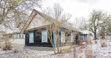 House in Fanipalski sielski Saviet, Belarus