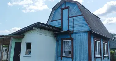 House in Conkauski sielski Saviet, Belarus
