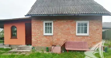 Haus in Telminski sielski Saviet, Belarus