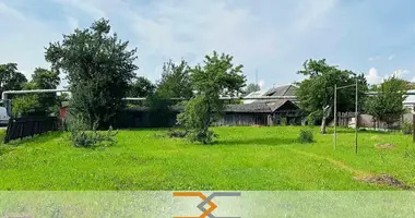 Grundstück in Sluzk, Belarus