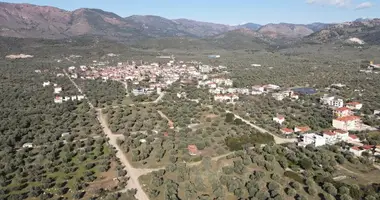 Plot of land in demos thasou, Greece