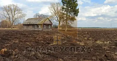 Maison dans Dzivin, Biélorussie