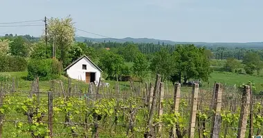 House in Balatonederics, Hungary