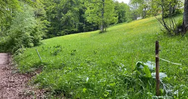 Terrain dans Monténégro