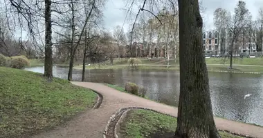 Wohnung 1 zimmer in Sankt Petersburg, Russland