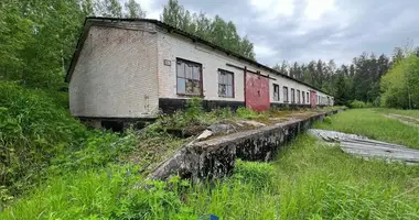 Commercial property 806 m² in Novakolasauski sielski Saviet, Belarus