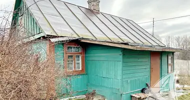 House in Zhabinka, Belarus