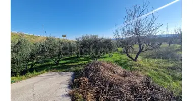 Grundstück in Kastel Novi, Kroatien