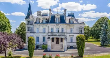 Zamek 14 pokojów w Aubeterre-sur-Dronne, Francja