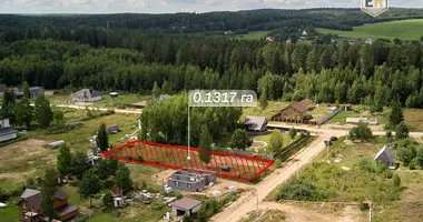 Parcela en Zdanovicki sielski Saviet, Belarús