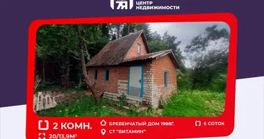 Dom w Nieharel ski siel ski Saviet, Białoruś