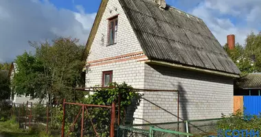 House in Aliachnovicki sielski Saviet, Belarus
