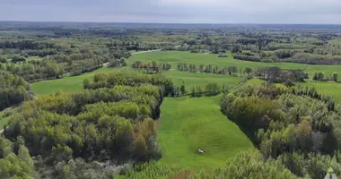 Grundstück in Raunas pagasts, Lettland