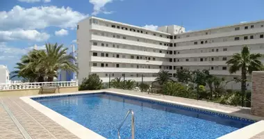 Penthouse 3 Zimmer in Torrevieja, Spanien
