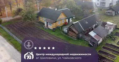 House in Sylavicy, Belarus