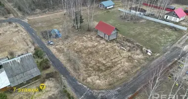 Grundstück in Piatryskauski sielski Saviet, Weißrussland