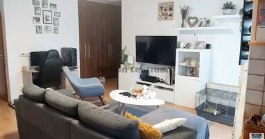 2 room apartment in Hajduszoboszlo, Hungary