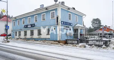 House in Paelkaene, Finland