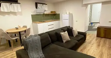 Flat for rent in Tbilisi, Vake в Тбилиси, Грузия