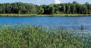 Plot of land in Sinkunai, Lithuania