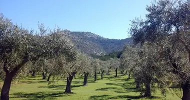 Terrain dans Skala Rachoniou, Grèce