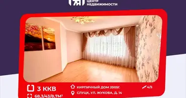 3 room apartment in Sluck, Belarus