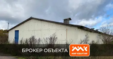 Commercial property 18 670 m² in Rahinskoe gorodskoe poselenie, Russia