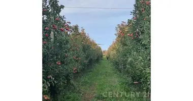 Parcela en Kryevidh, Albania