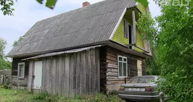 Dom w Miazanski sielski Saviet, Białoruś