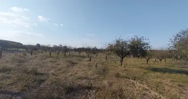 Plot of land in Nyarsapat, Hungary