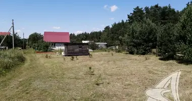 House in Znamienski sielski Saviet, Belarus